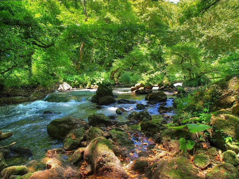 Τα 10 μεγαλύτερα ποτάμια σε μήκος της Ελλάδας με φωτογραφίες, Θυαμίς
